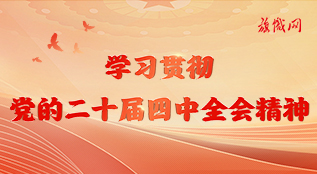 學(xué)習(xí)貫徹黨的二十屆四中全會精神